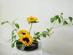 -今日陶艺(富力广场店)