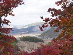 -龙道沟景区