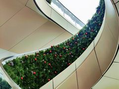 -深圳湾万象城(南山店)