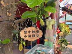 -西双版纳傣族园