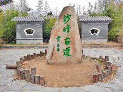 -阳台山自然风景区