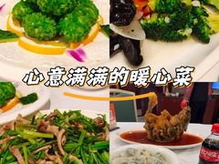 -金三杯酒家(泉城路店)
