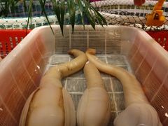 -79号渔船海鲜饭店(华强北店)