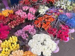 -宝鸡东道花鸟鱼虫市场(吉利花园商场店)
