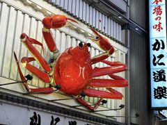 -蟹道乐(道顿堀本店)