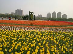 -廊坊文化艺术中心