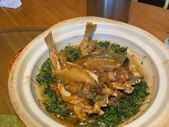 红烧河豚-永安鱼庄·镇江菜(丁卯店)