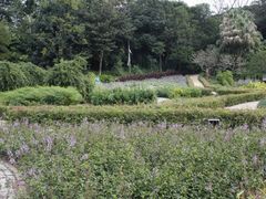 -广西壮族自治区药用植物园