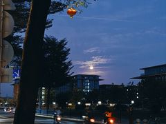 -长洲岛