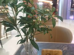 -THE WOODS 简餐 (国贸商城店)
