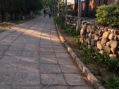 -云岗森林公园