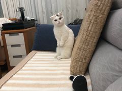 -拜鲁耶动物诊疗中心·宠家动物医院