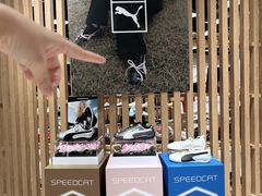 -澳门威尼斯人综合度假区