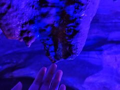 -陶祖圣境风景区