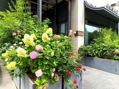 -蘇锦宴·淮扬菜烤鸭·小院(三元桥霄云路店)