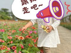 -迪茵湖田家舍生态农场