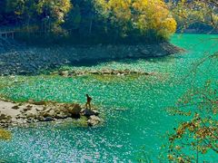 -叠溪松坪沟景区