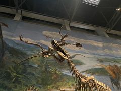 -自贡恐龙博物馆