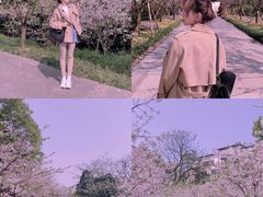 -南山植物园