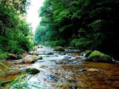-天女山森林公园