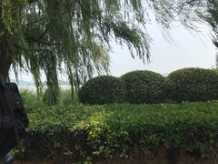-云龙湖旅游景区