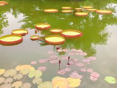 -国家植物园南园