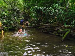 -成都市活水公园