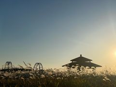 -宁波杭州湾国家湿地公园
