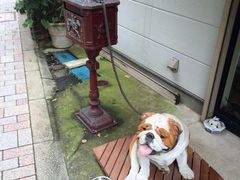 -三鹰之森吉卜力美术馆