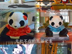 -成都保利公园皇冠假日酒店(熊猫基地店)