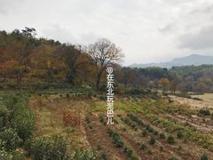 -塔川景区