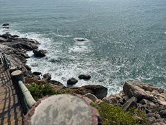 -广东惠东海龟国家级自然保护区