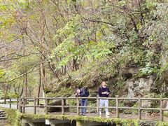 -牛背梁国家森林公园