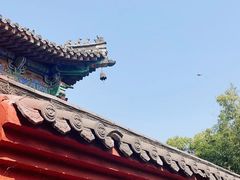 -洛阳白马寺