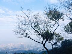 -广州市白云山风景名胜区
