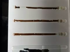 -银雀山汉墓竹简博物馆