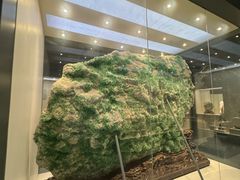 -安徽省地质博物馆