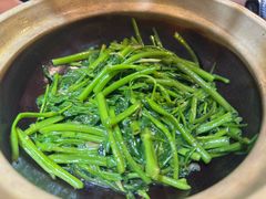 -熠盛粤味·顺德桑拿鸡(永康路店)