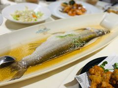 -席家花园(巨鹿花园店)