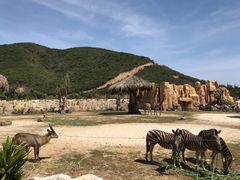 -芽庄珍珠岛游乐园