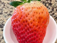 -怡咖啡海鲜自助餐厅(浦东香格里拉店)