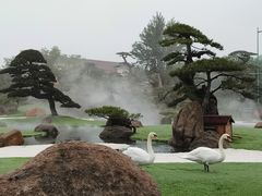 -罗红摄影艺术馆