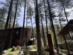 -洛阳白云山景区