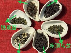 -诗宇时光茶艺书法古琴培训