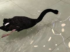 -首创奥特莱斯(北京店)