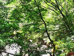 -红崖峡谷景区
