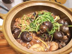 -食爺炭炉鸡煲·烧烤
