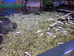 -常州海昌海洋探索馆