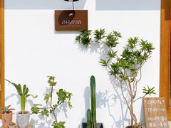 -AHAVA·Fang Baking Studio