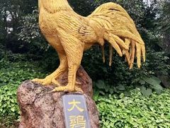 -海口火山口国家地质公园